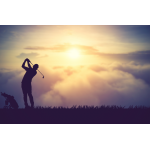 Personal Insurance