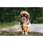 Personal Insurance